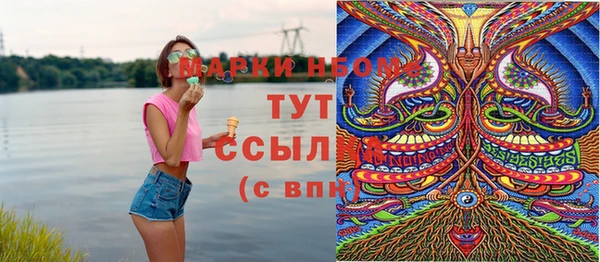 молекула духа Ельня