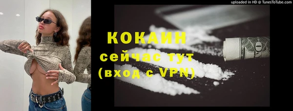 молекула духа Ельня