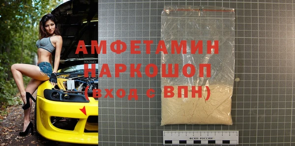 молекула духа Ельня