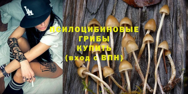 бутират Елабуга