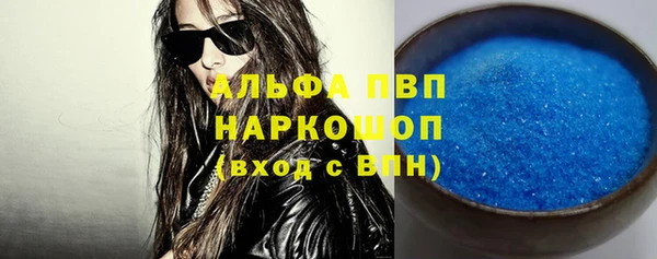 молекула духа Ельня